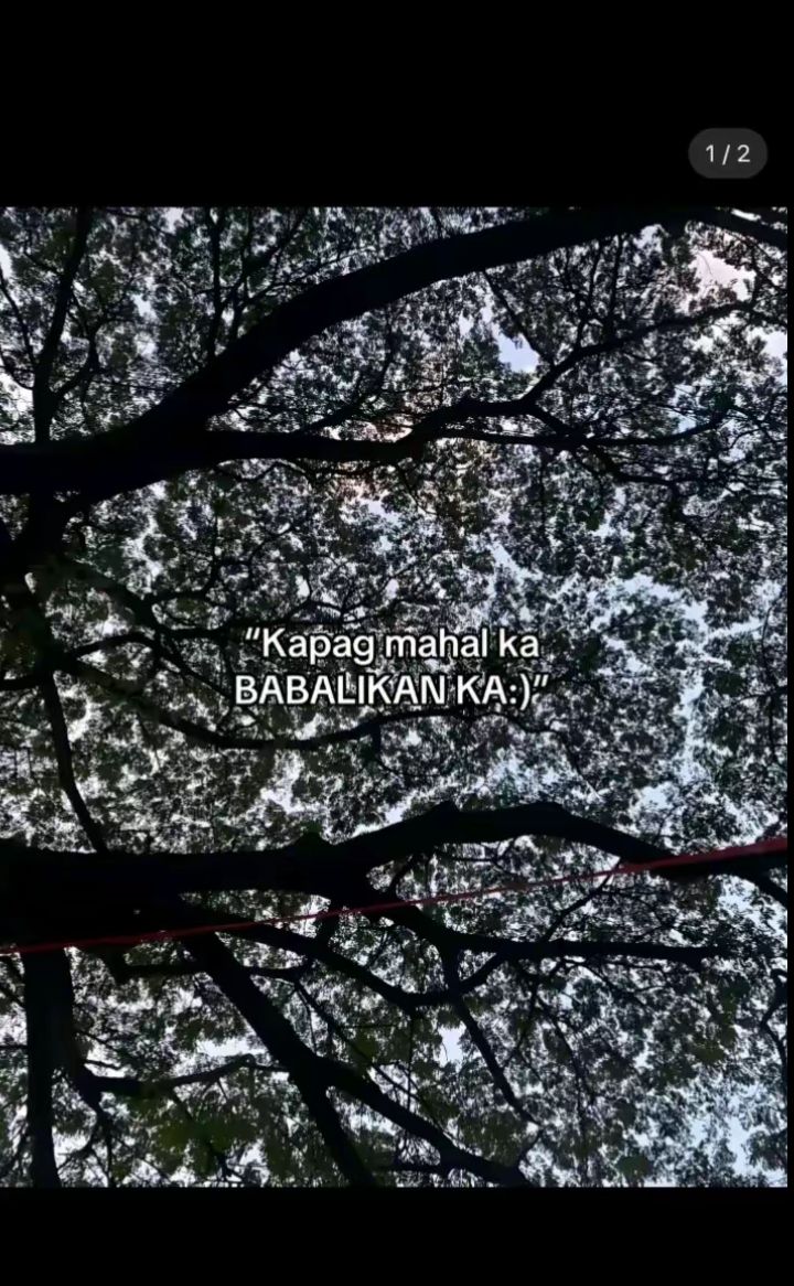 @allzzz