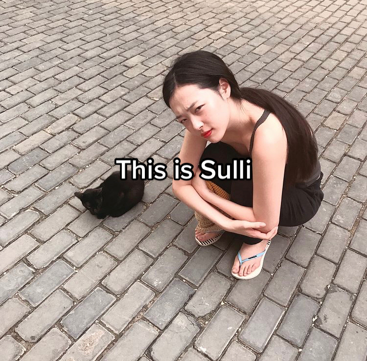 @Sulli