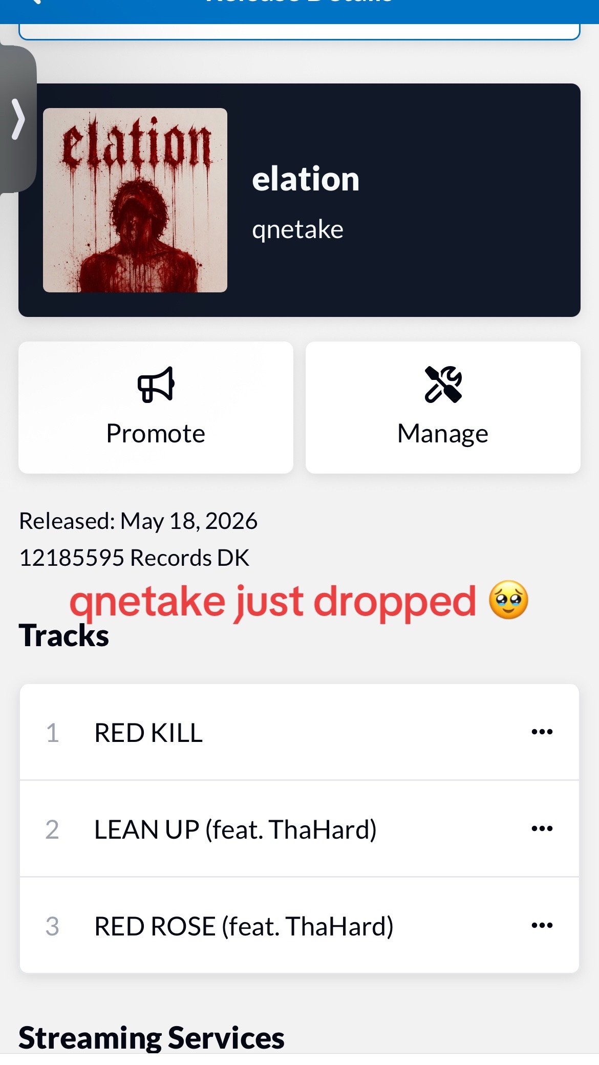 @qnetake !