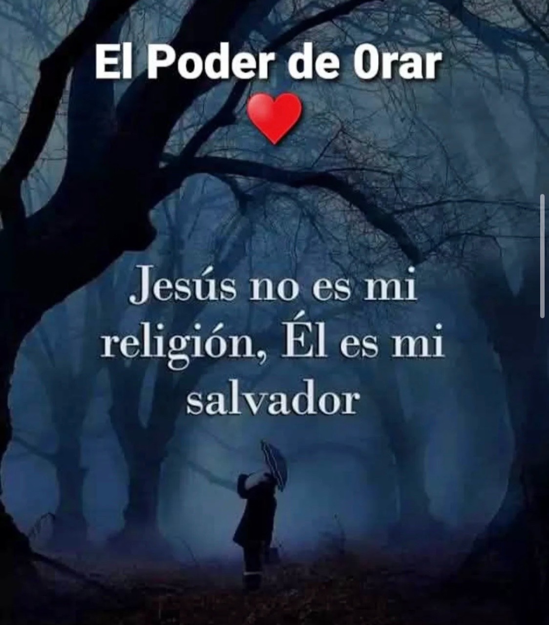 @Fernando