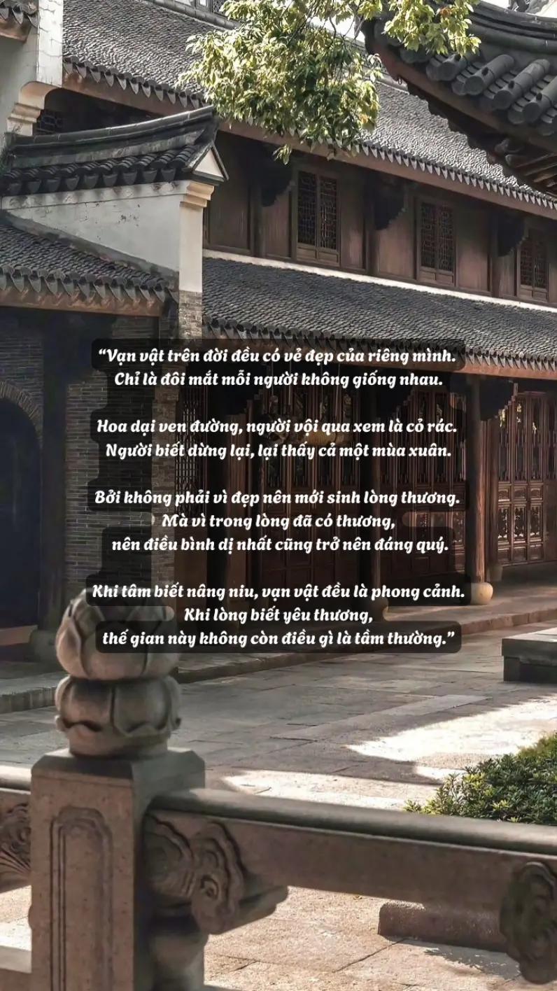 @hạt giống tâm hồn🌱