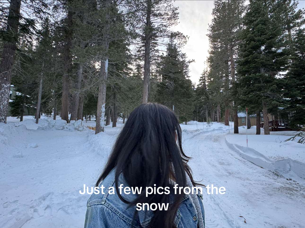 @Rosalind Jade