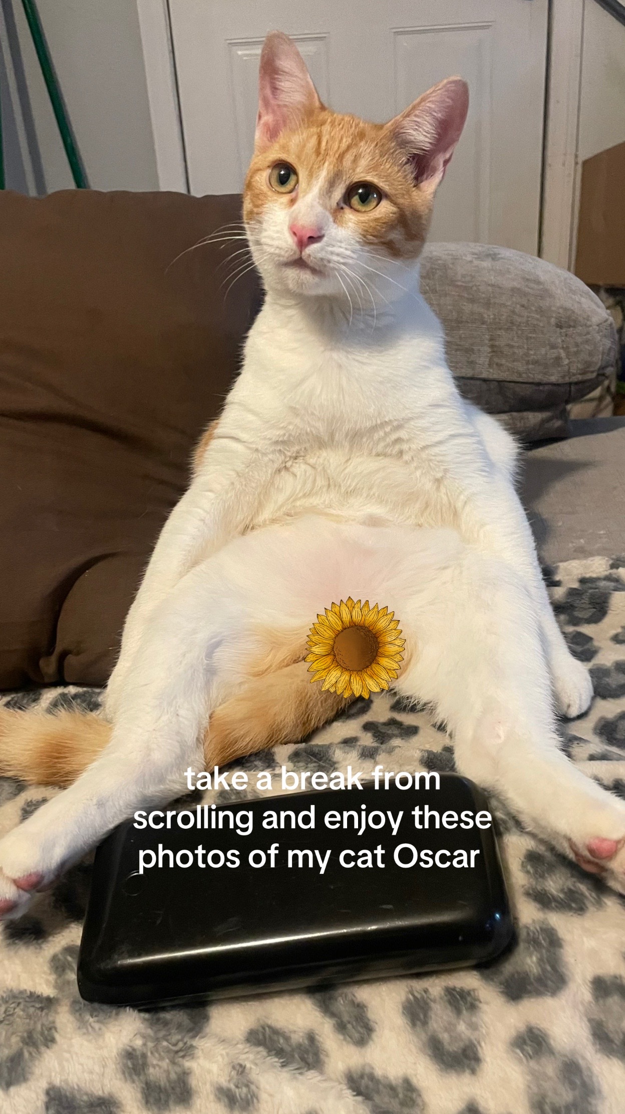 @jessika🧿
