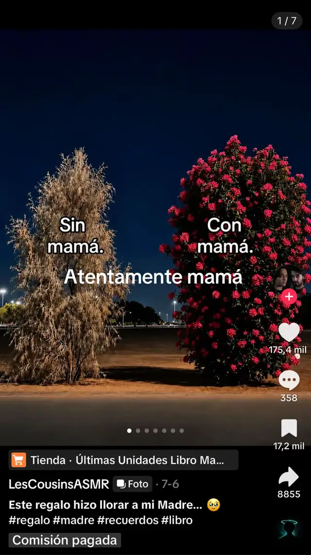 @Carmen Tomás 13