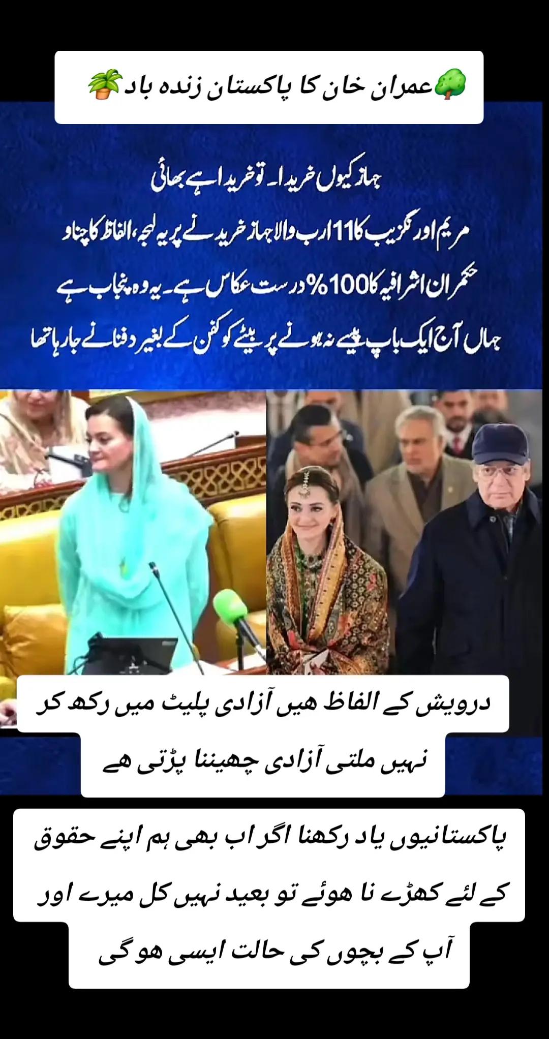 @اڈیالہ 804