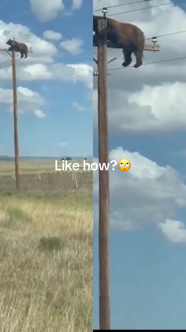 @SLIZZY