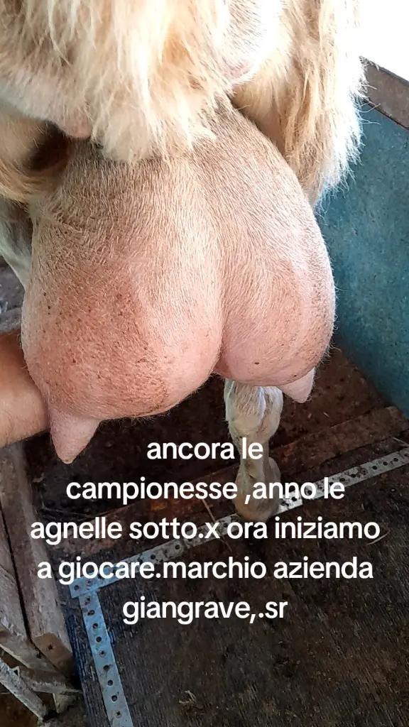 @Pablo86