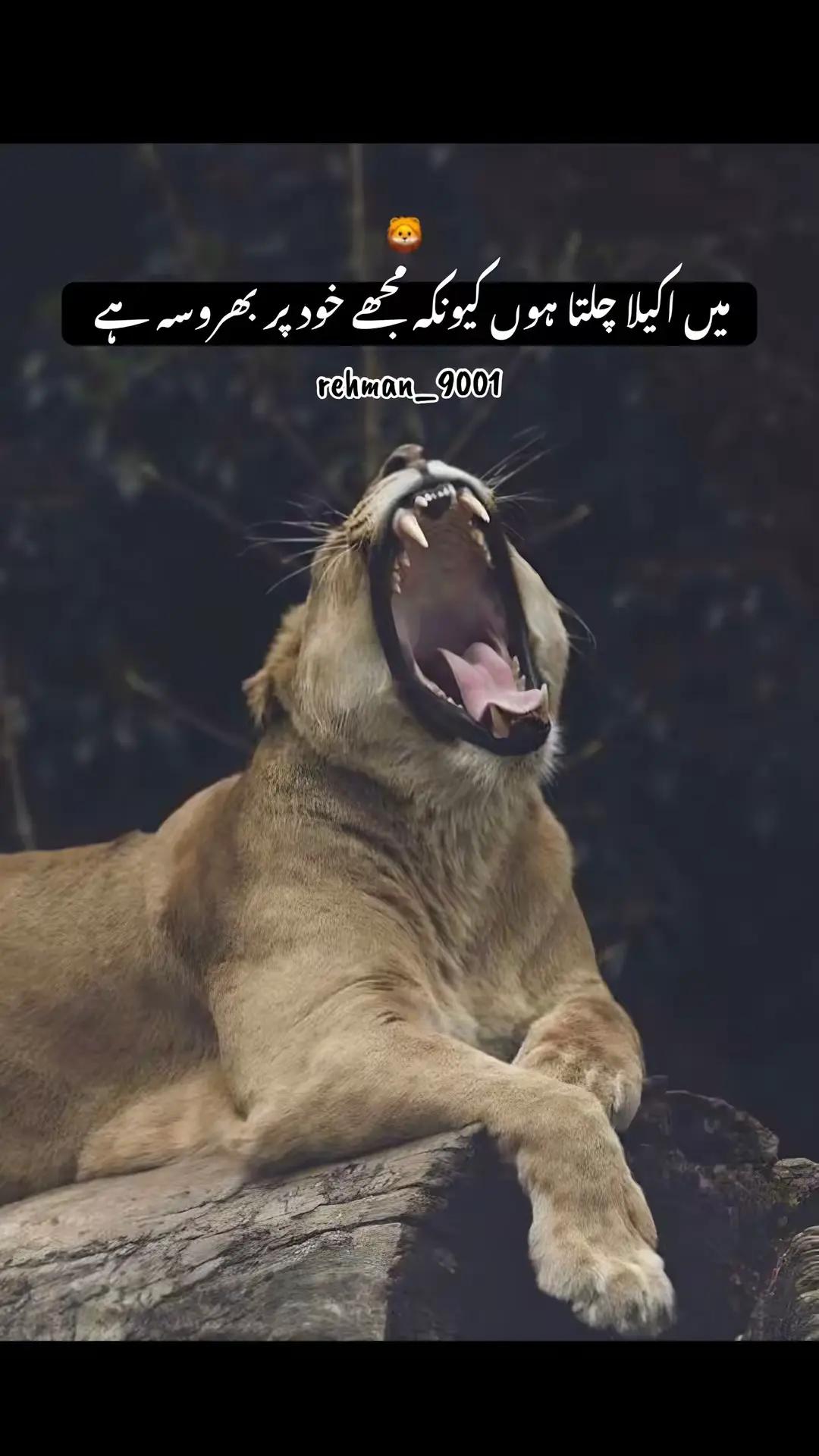 @🐊چوہان صاحب ڈیرےآلے🥷