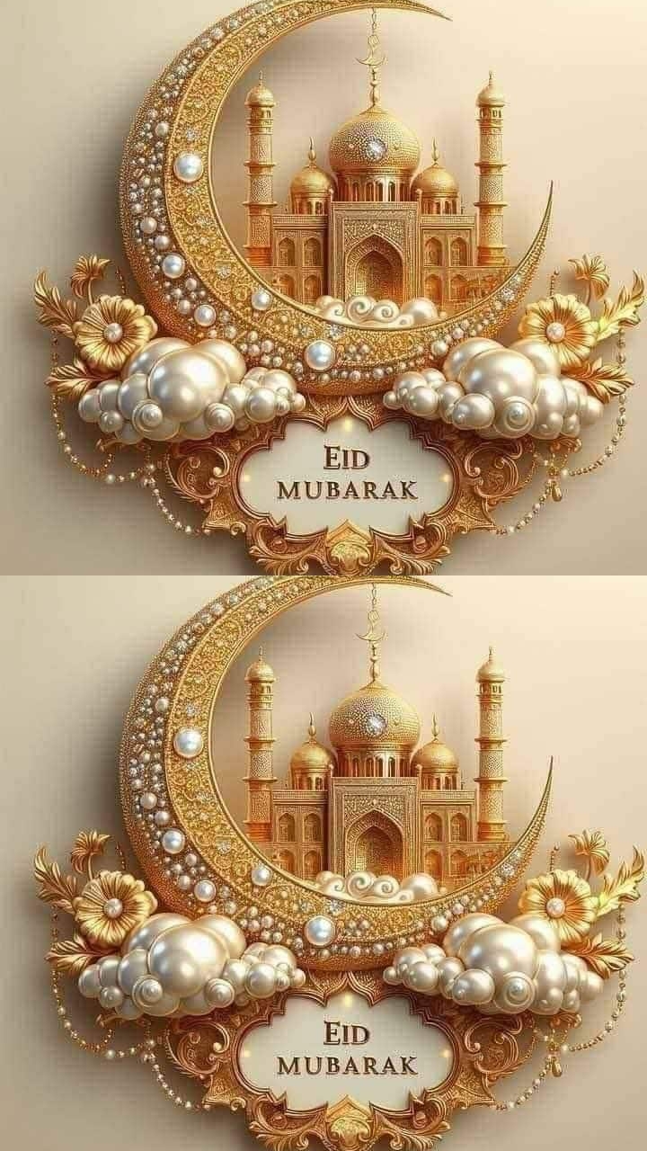 @Md Himel Ahmed