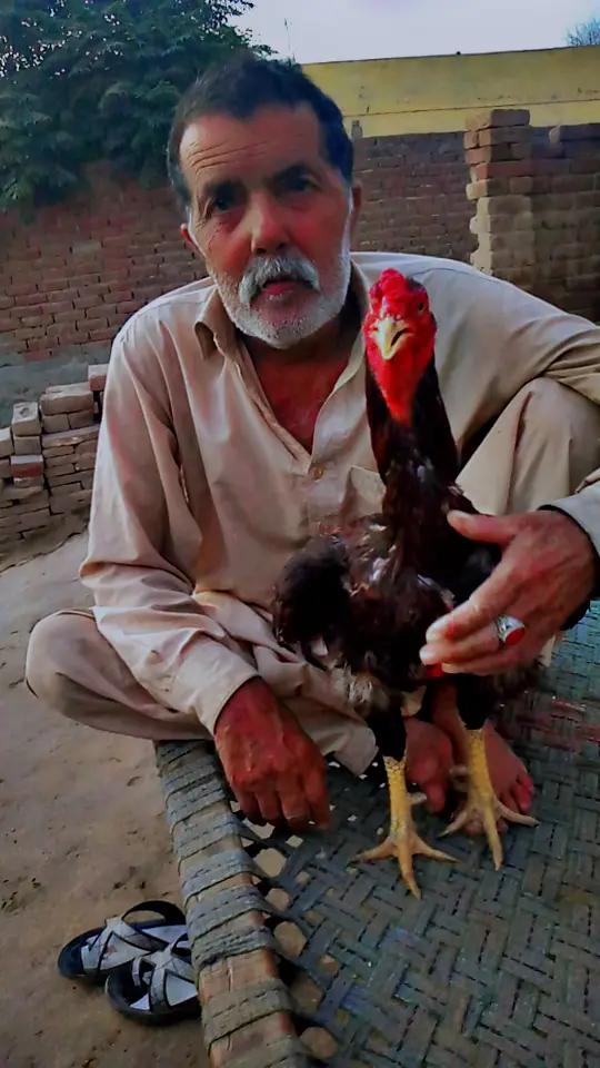@arshad bhatti