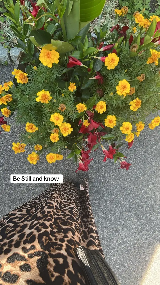 @ms.wandawoman