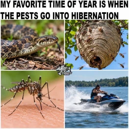 @STUCKINTHETREEFISHING