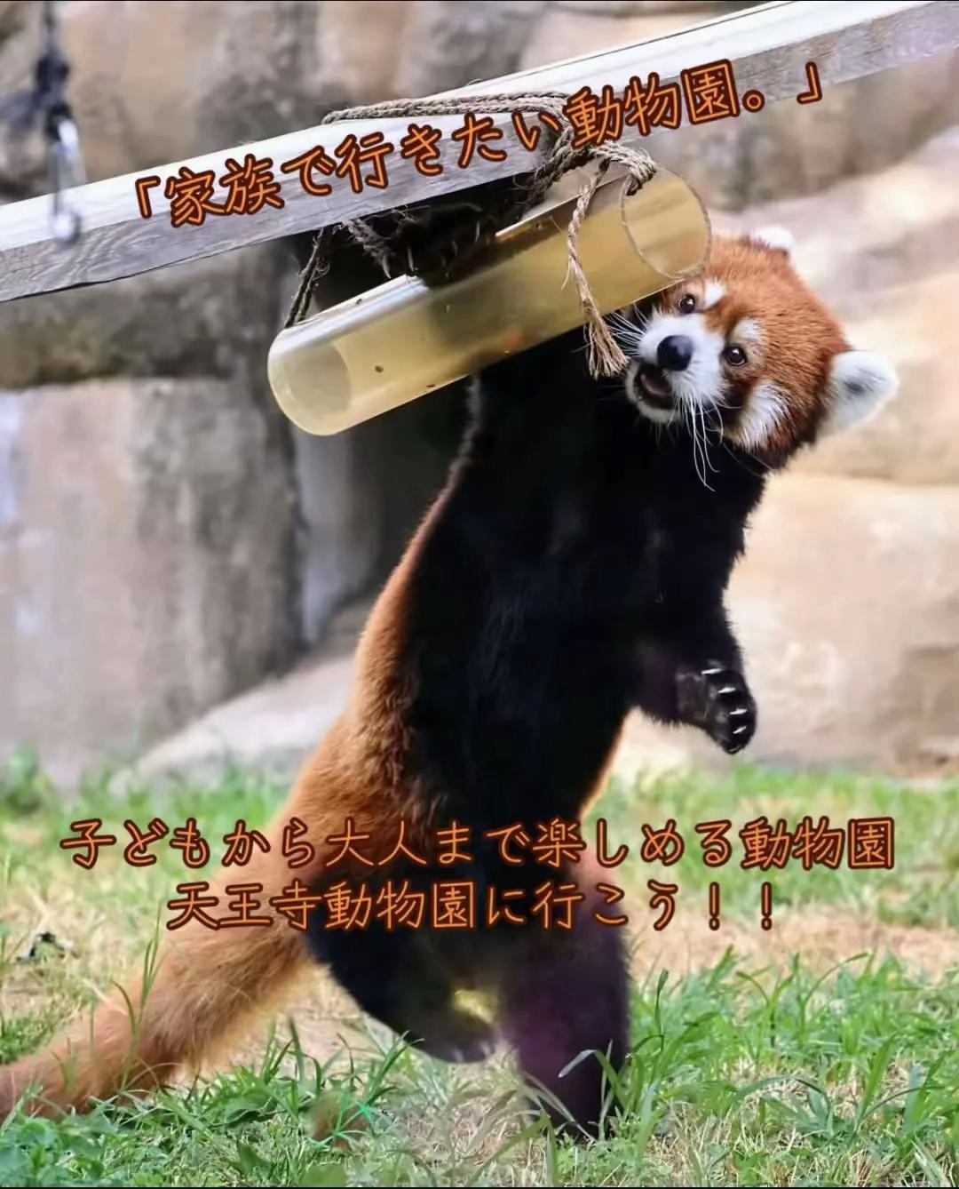 @闇夜の夜更かしバリトン
