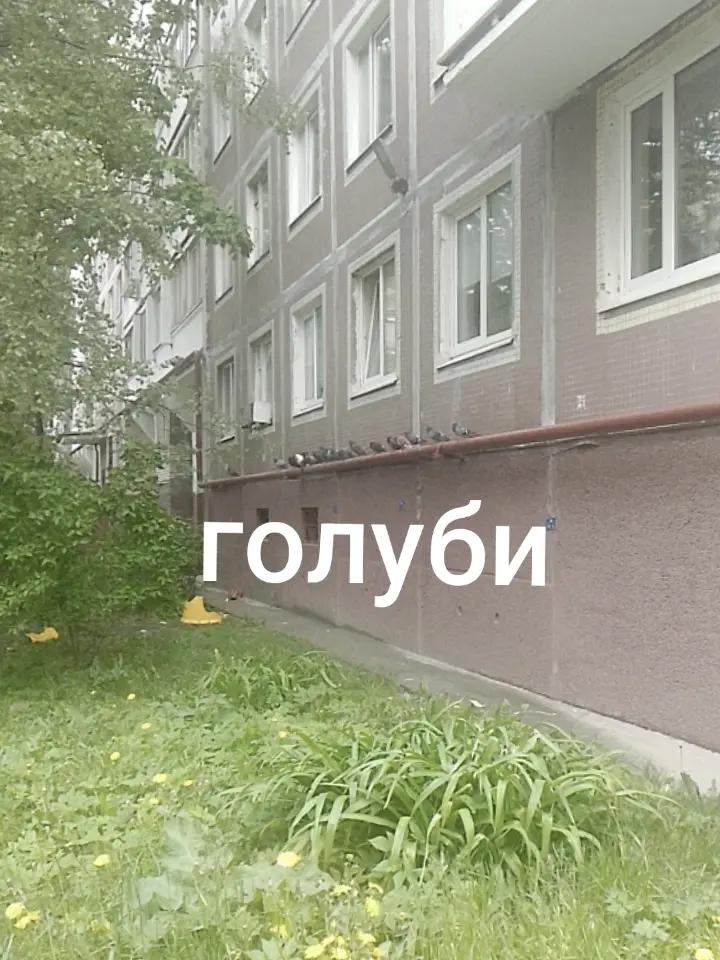 @kto takie neforы