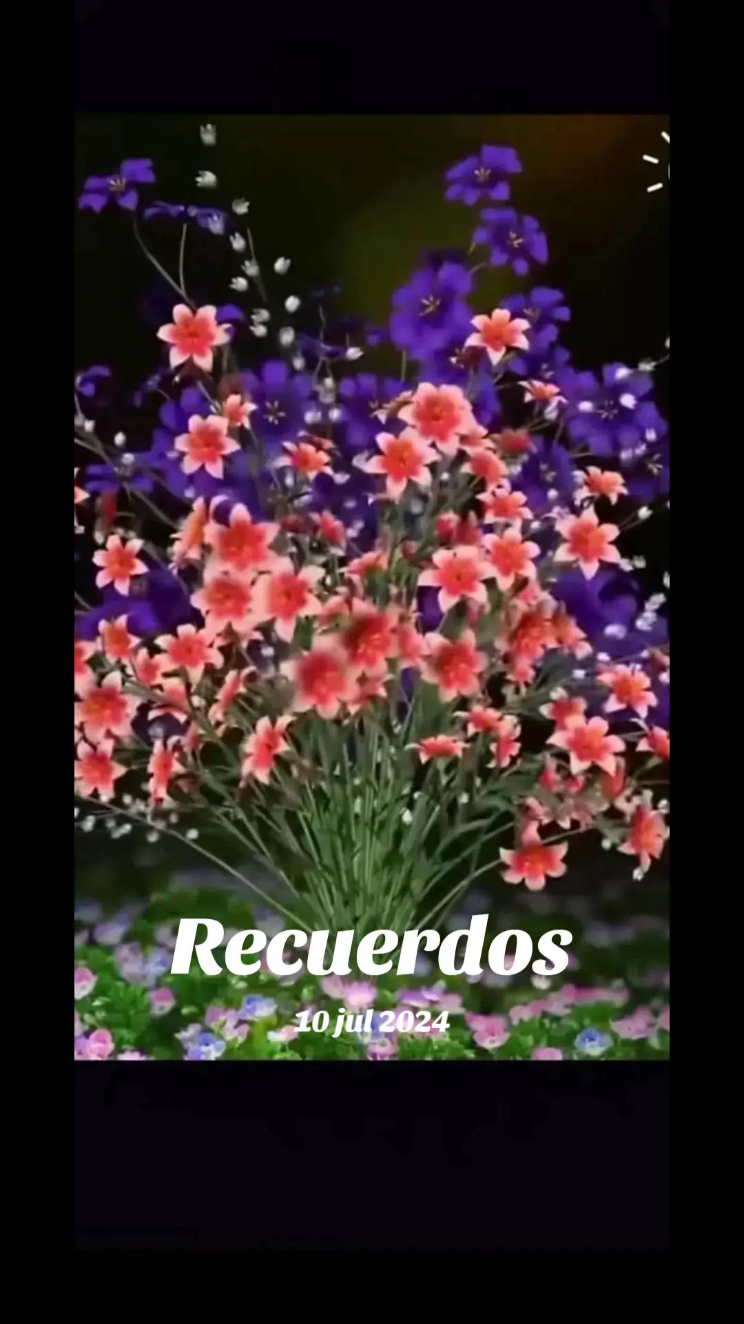 @Tamez
