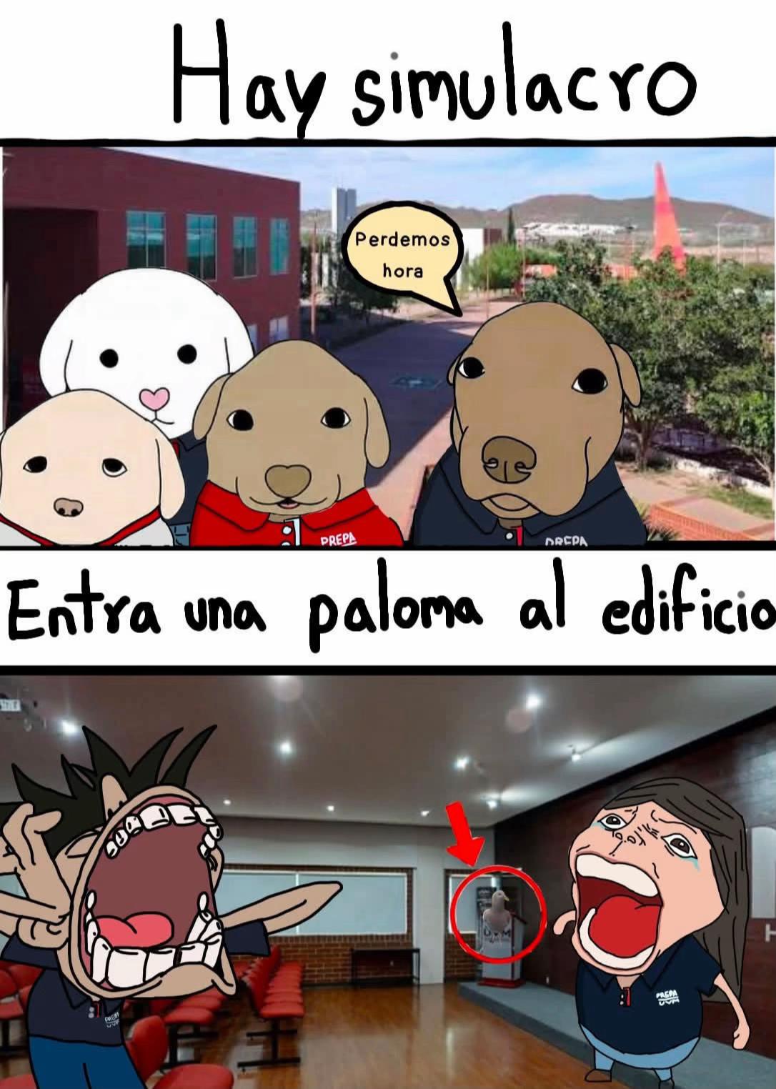 @momazos.bodrios