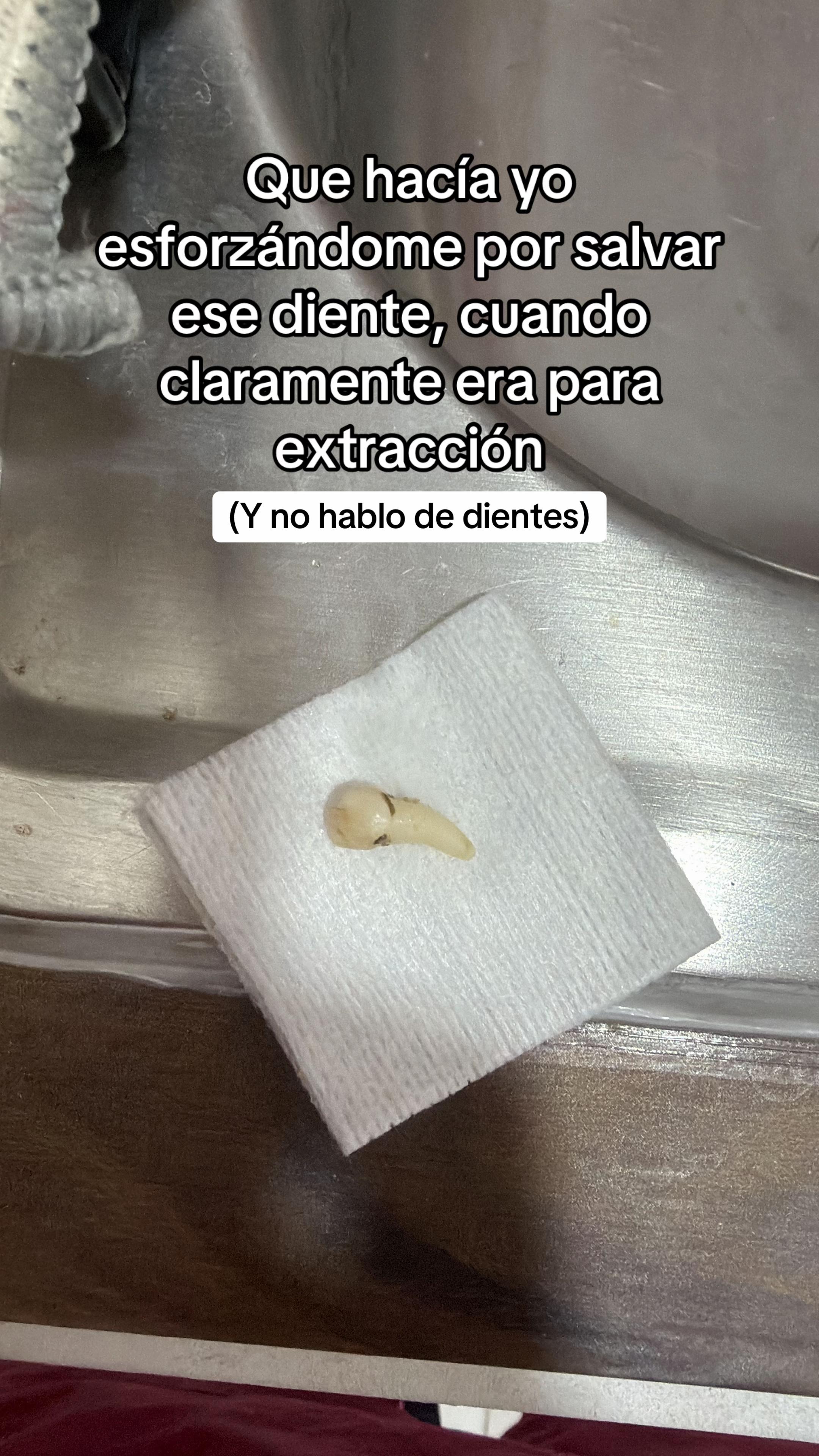 @Guerrero Dragon