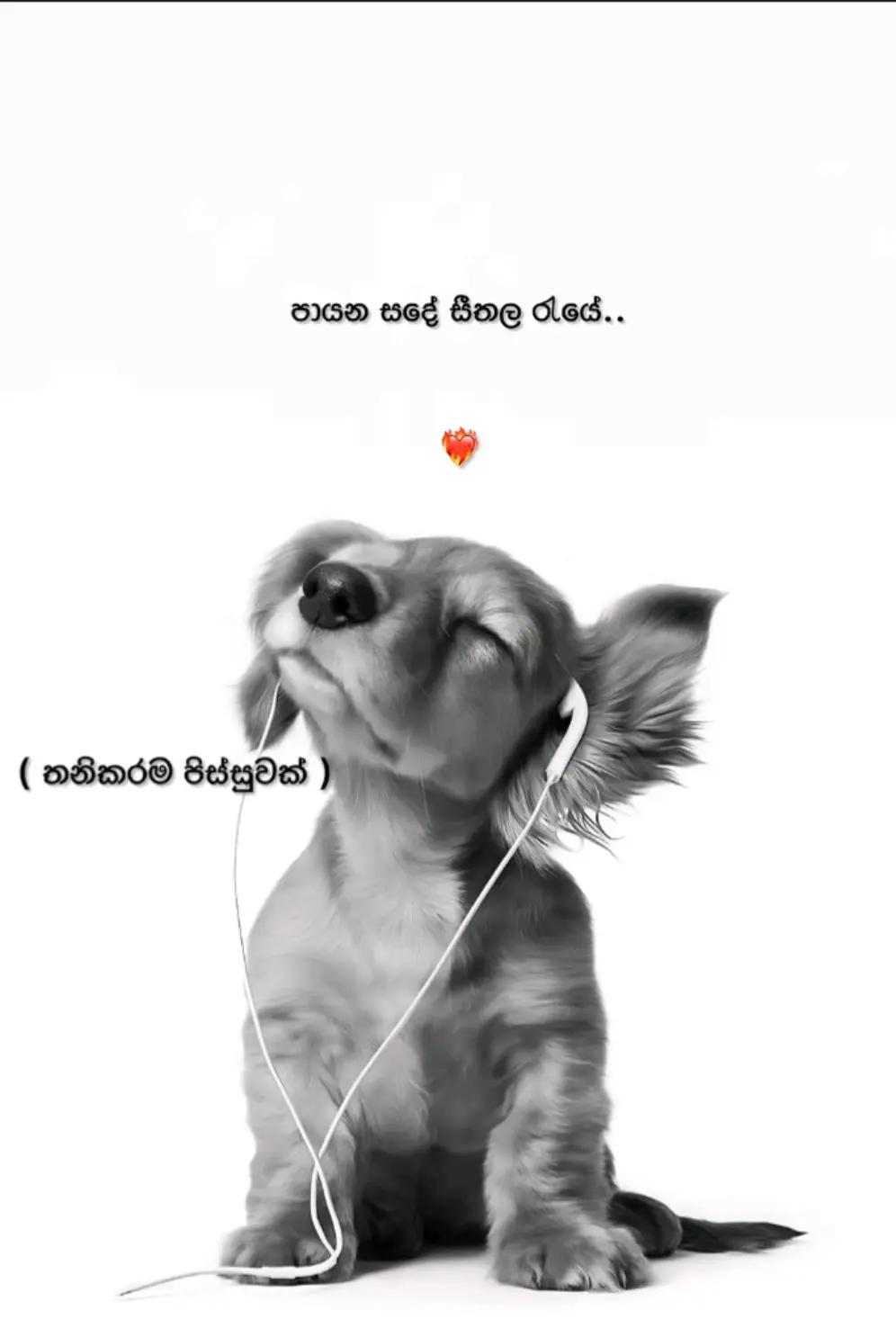 @_Adhii 💋