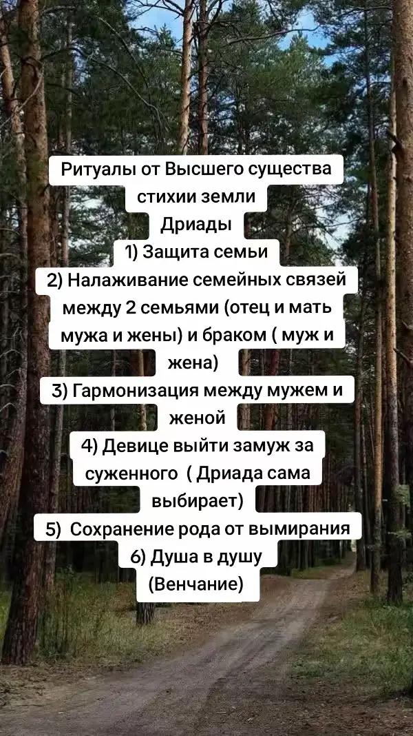 @Руслана Аль-Сахли