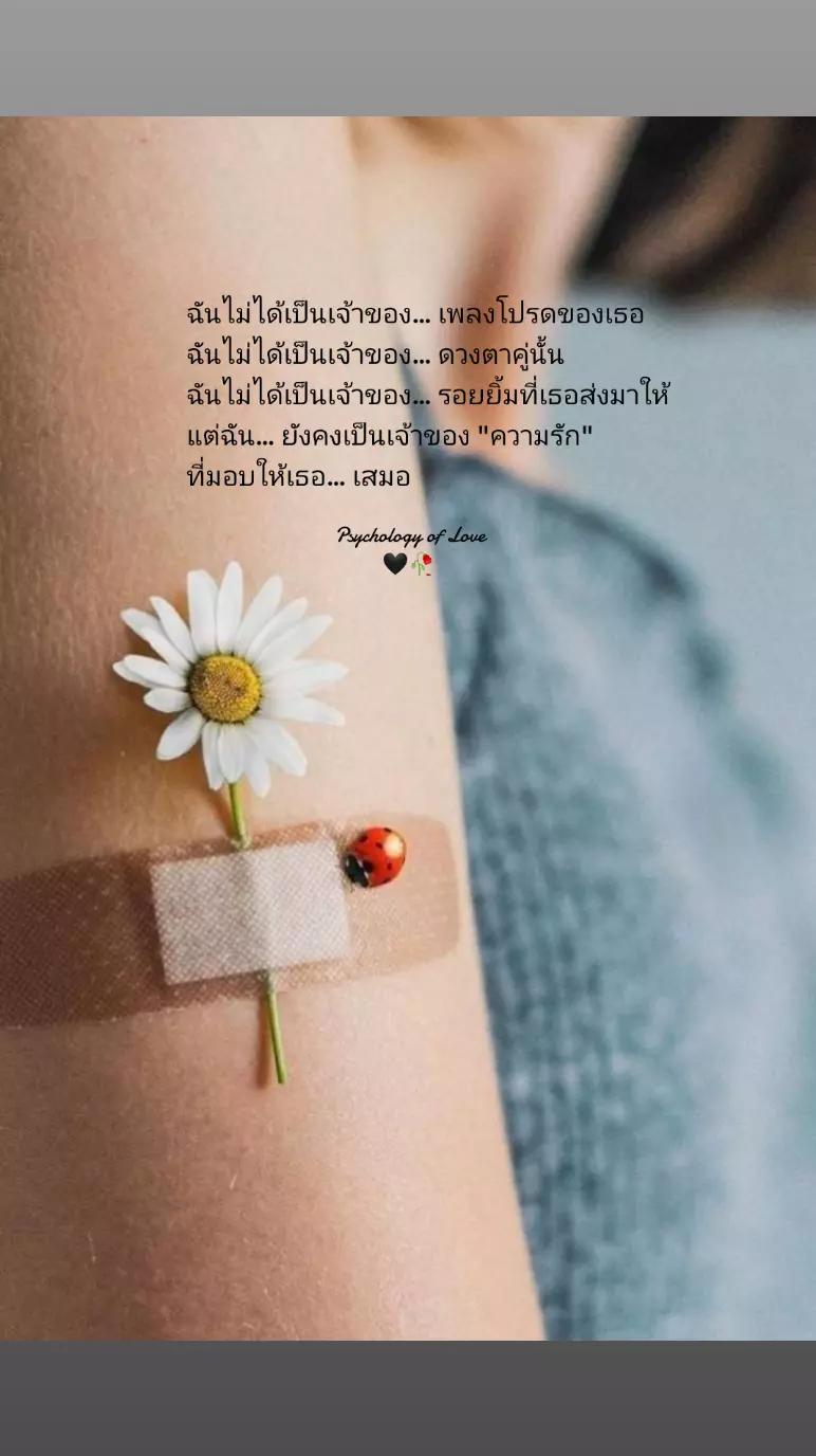 @Wilailuk Lapjeium