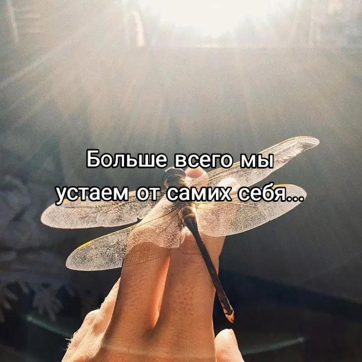 @🍀