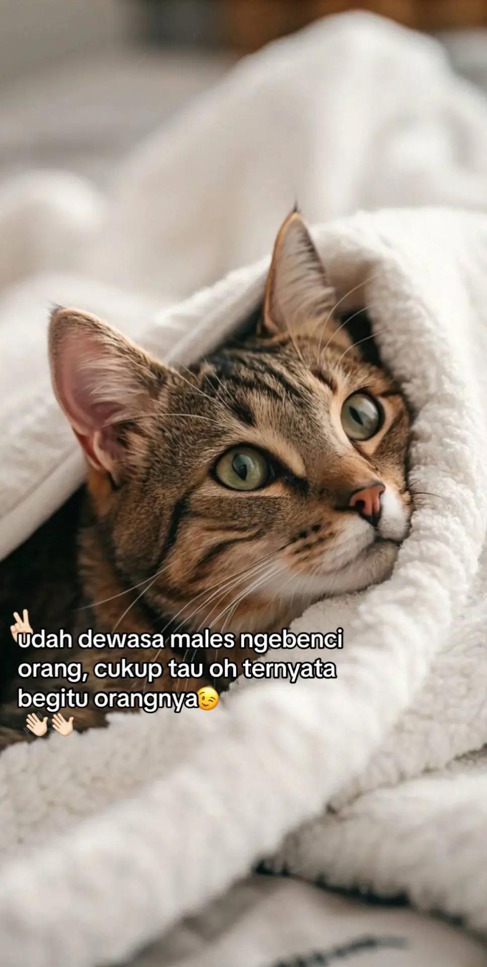 @Mbah_parto es.