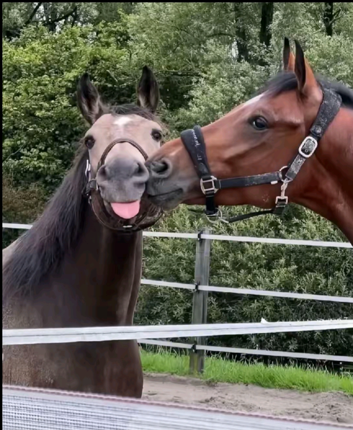 @ุ