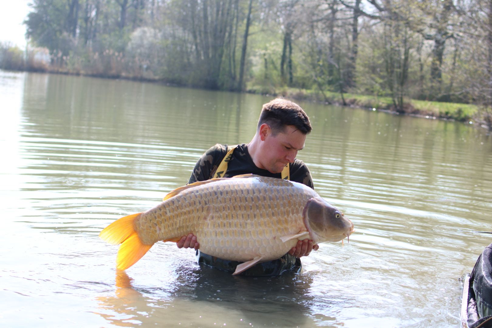@scaley waters