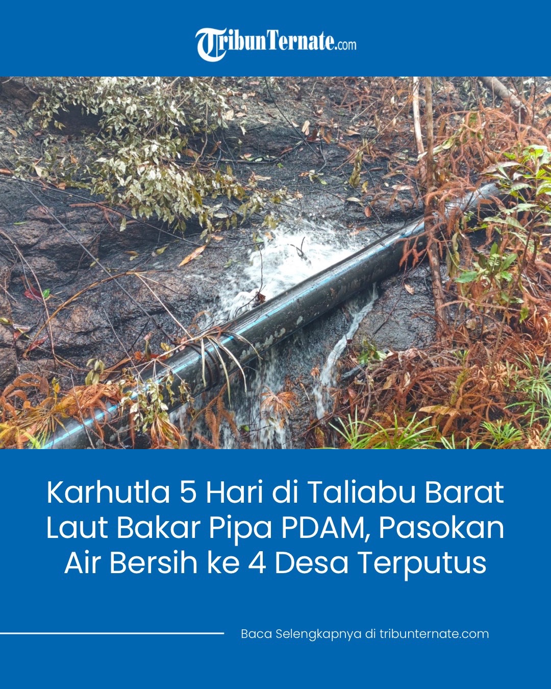 @TribunTernate.com