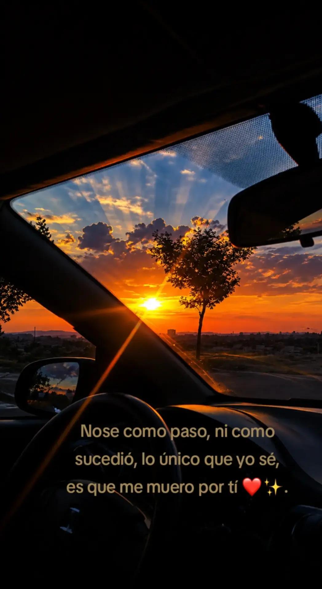 @Sofia✨️