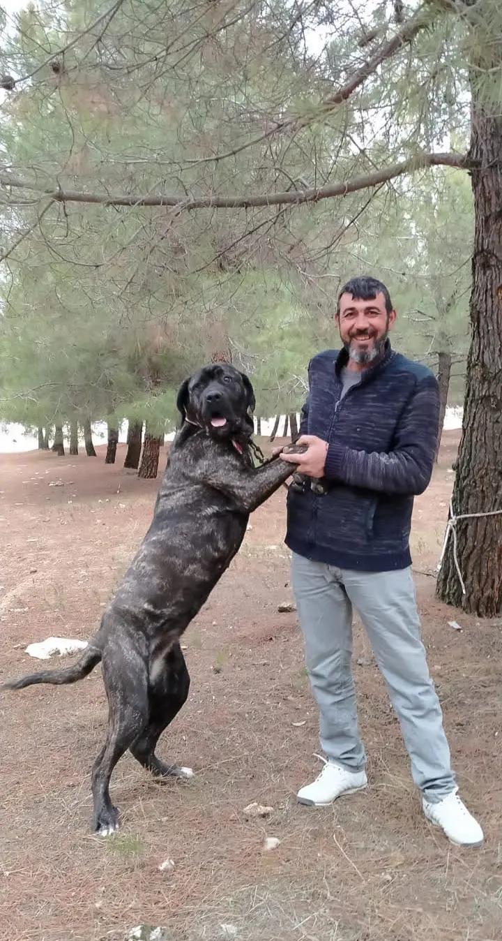 @03Yusufyıldırım(inşaatyapı)