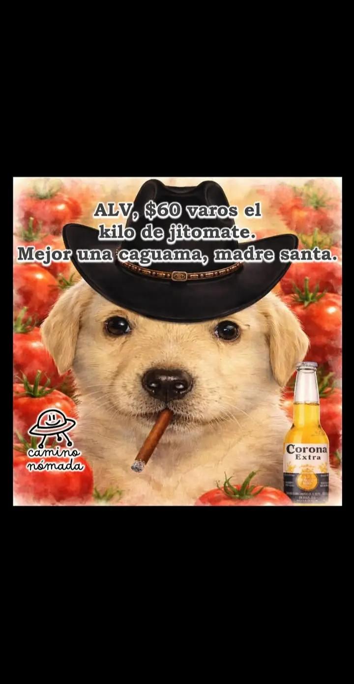 @Leticia rey