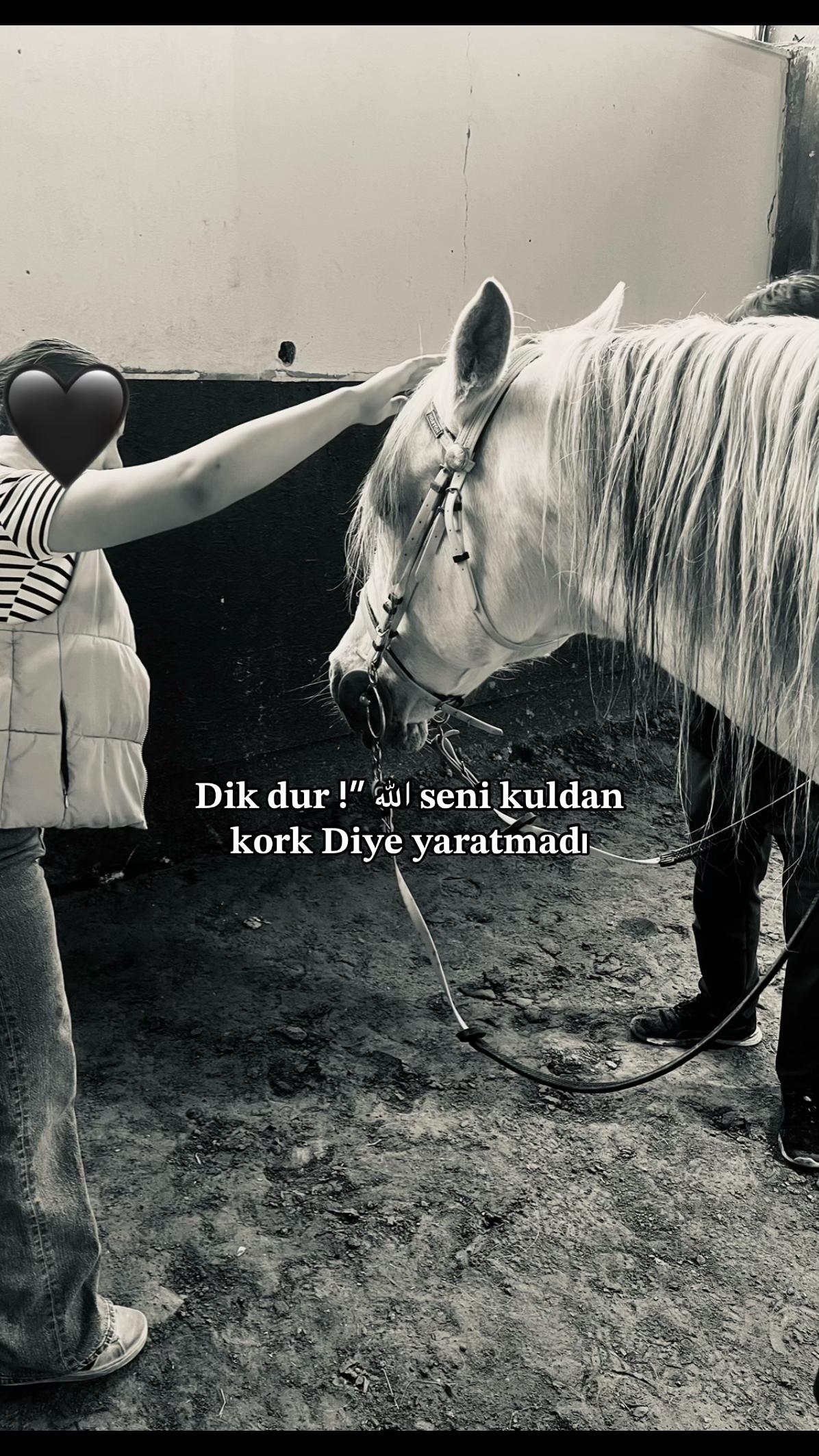 @𝑬𝒀𝑳𝑼𝑳