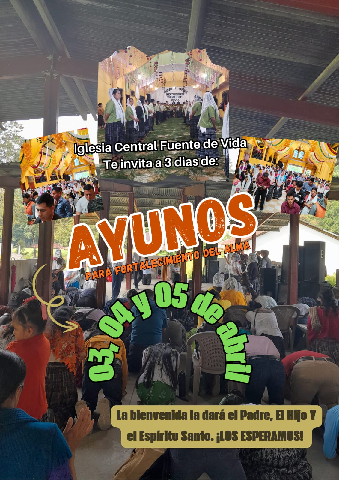 @anelo