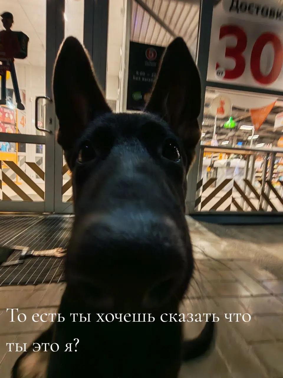 @𝖙𝖆𝖎𝖑𝖊𝖉_𝖈𝖍𝖔𝖑𝖊𝖗𝖎𝖈