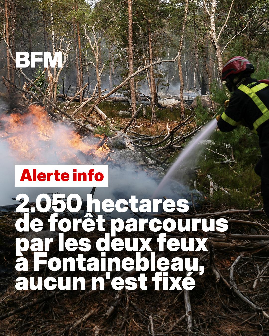 @BFMTV