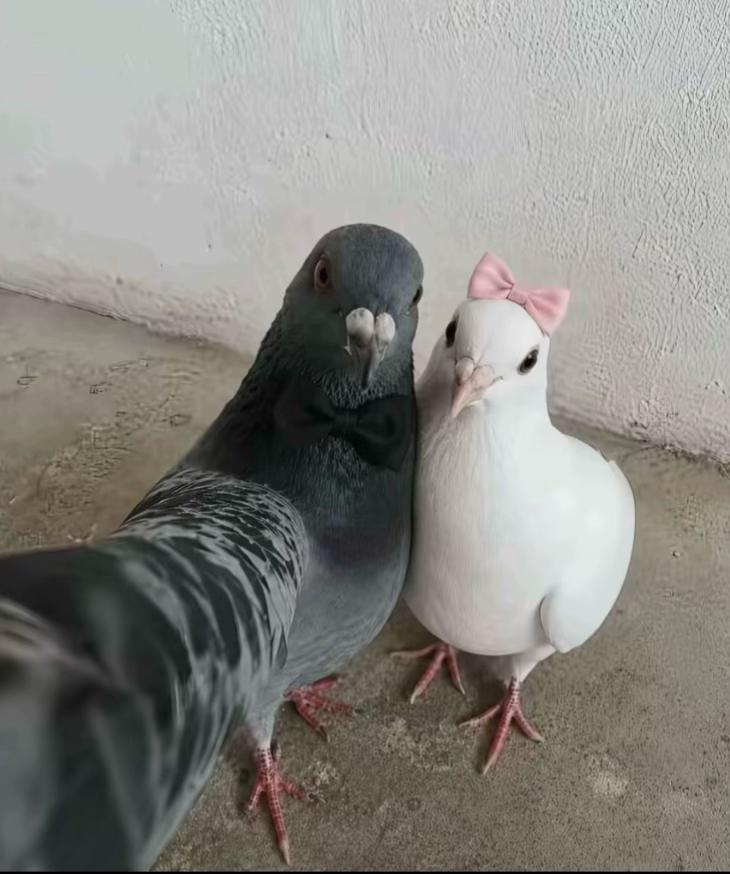 @𝑨𝒏𝒏𝒂𝒃𝒆𝒓𝒅𝒊𝒚𝒆𝒗❤️&zwj;🔥