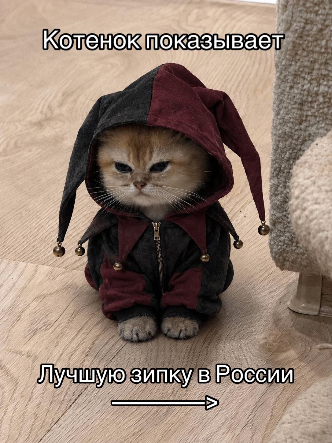@тгк justicefa1