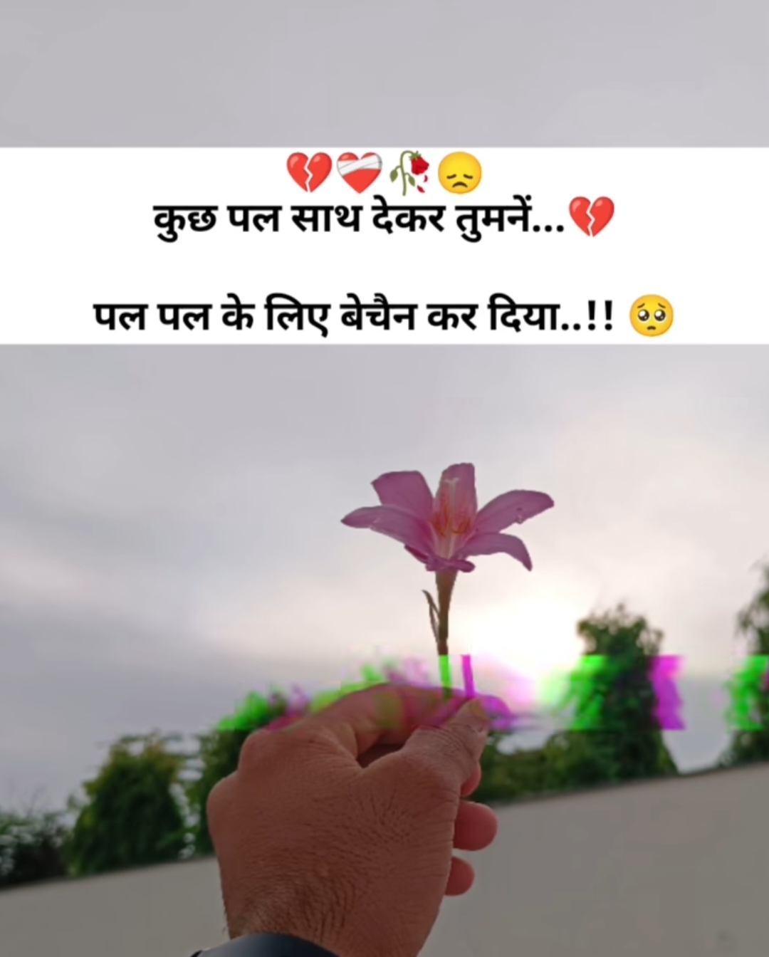 @Gulam ali ❤️