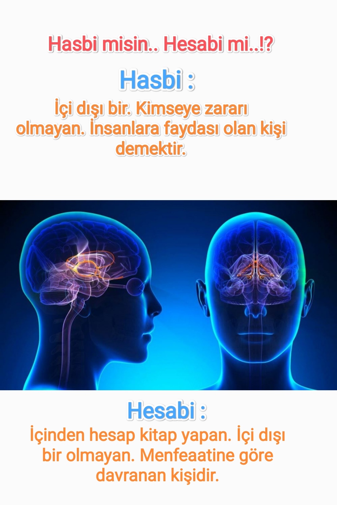 @orhanmarangoz🏵️