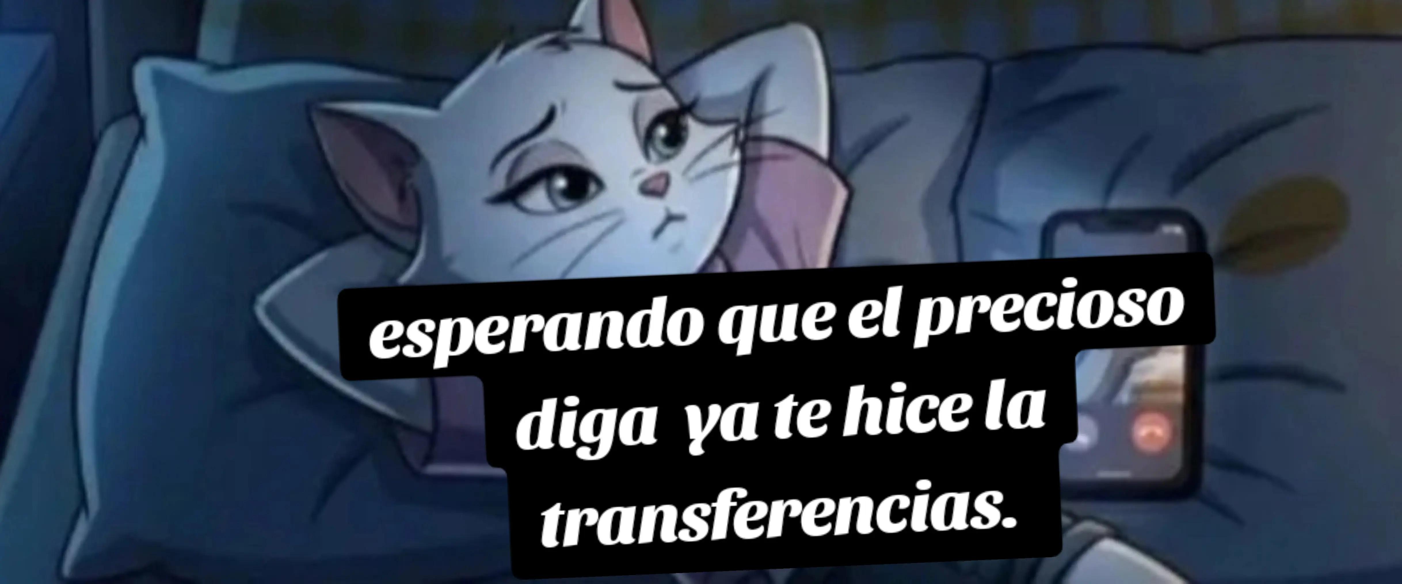 @dani