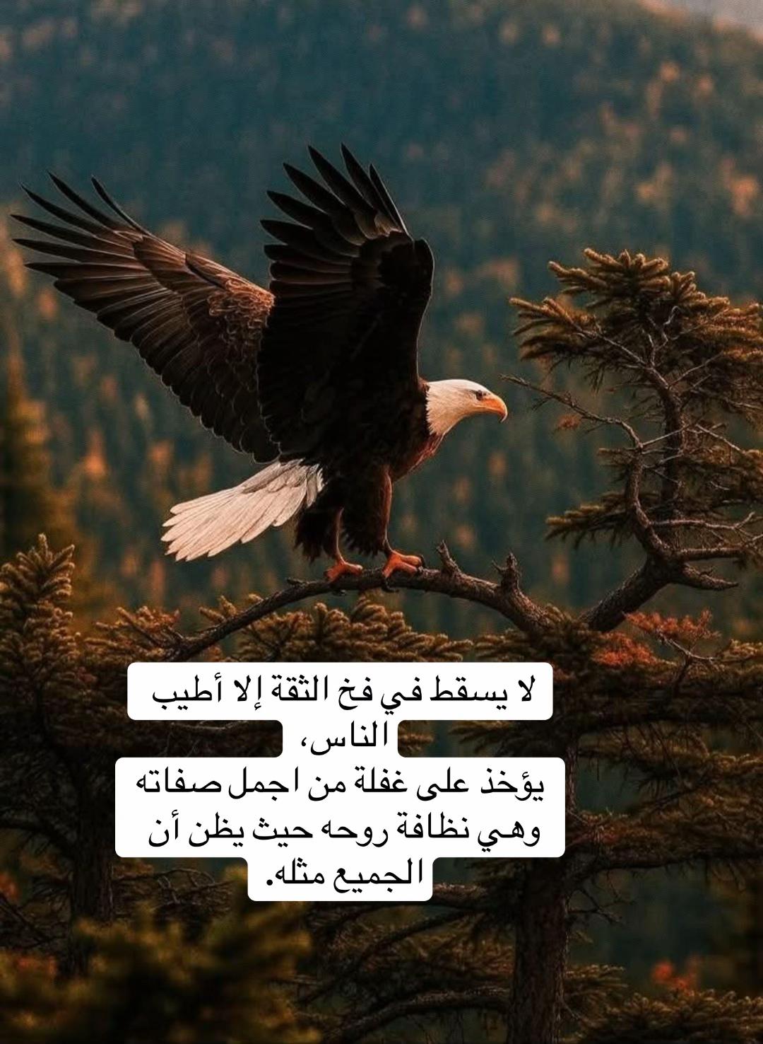 @So🦋so