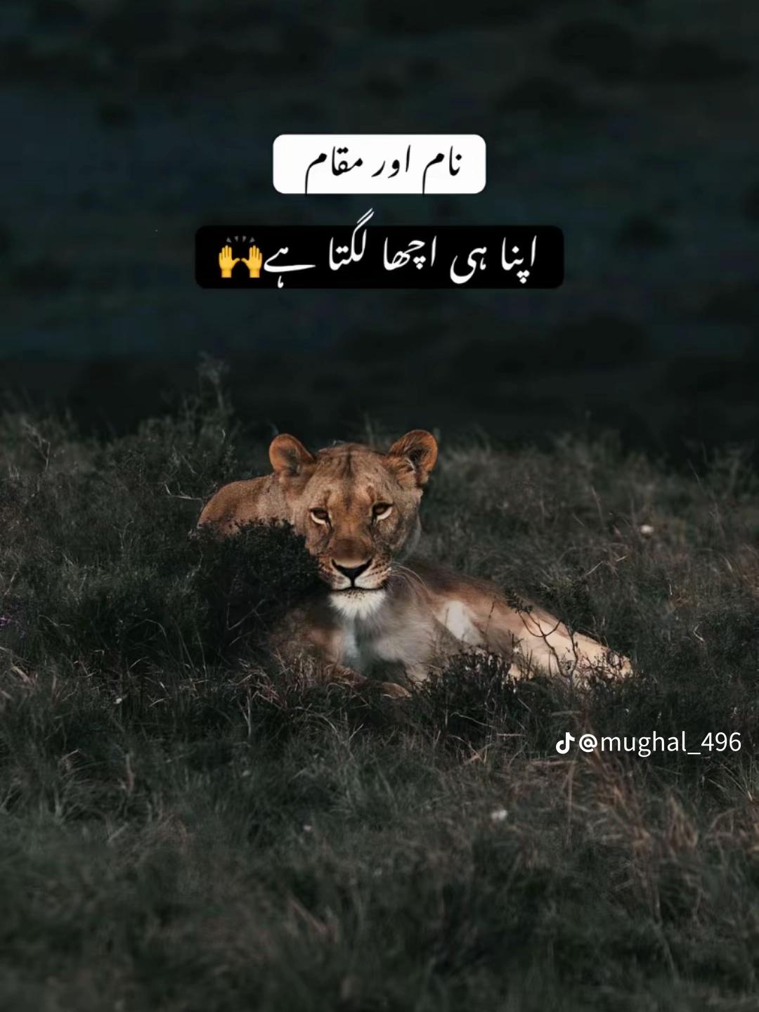 @ANAS_QURESHI🔛🔝