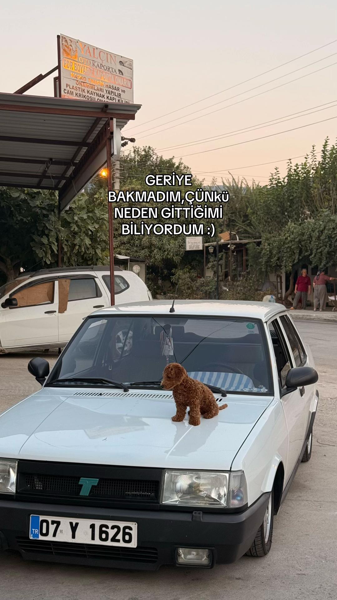 @𝓓𝓮𝓷𝓲𝔃𝓱𝓪𝓷 𝓬̧𝓲𝓵