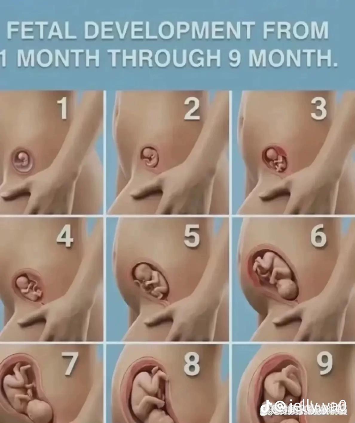 @1+2🔞