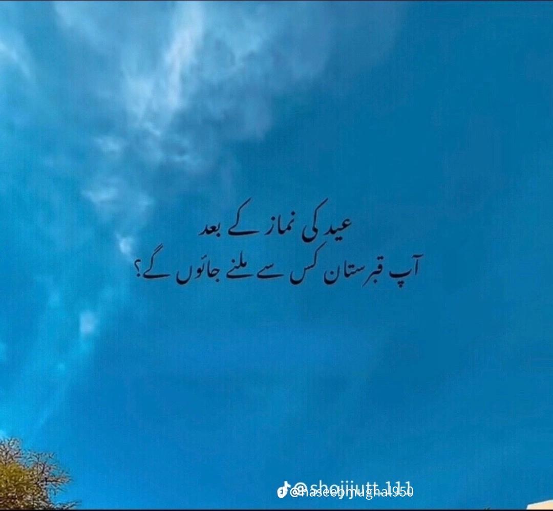 @wahab hu yarr