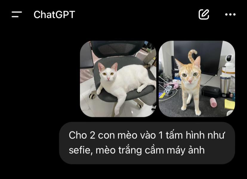 @Bunny và Chà Bông