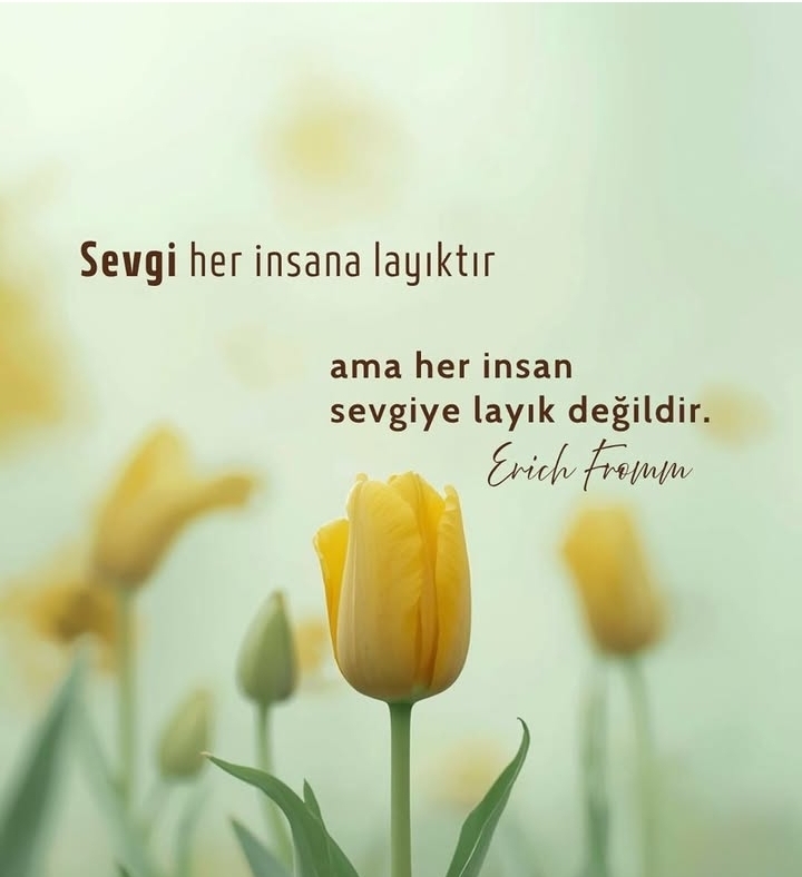 @mecnun