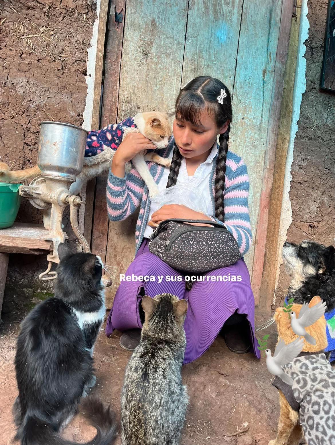 @🐈Rebeca y sus ocurrencias