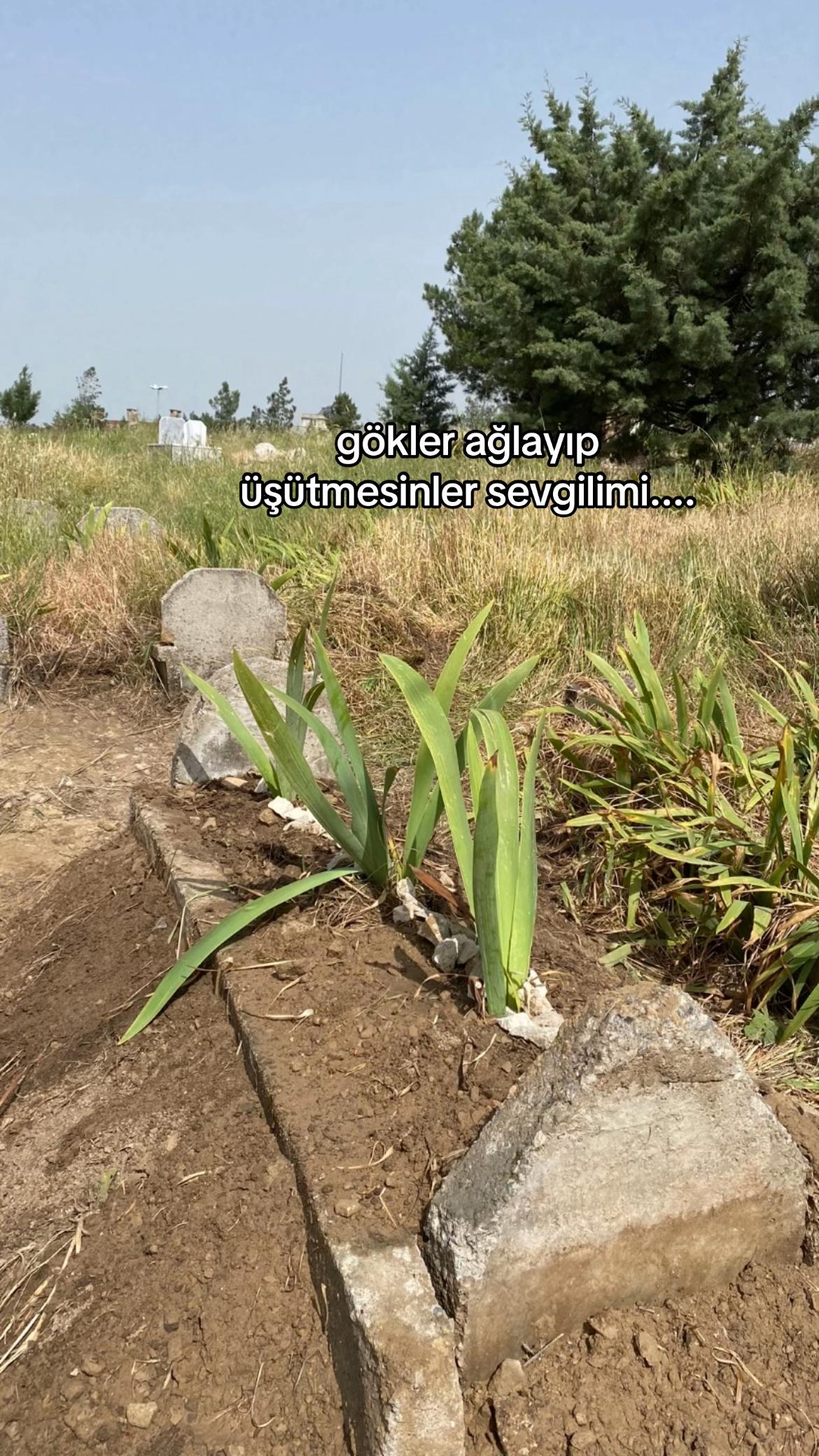 @Ateş Dinar